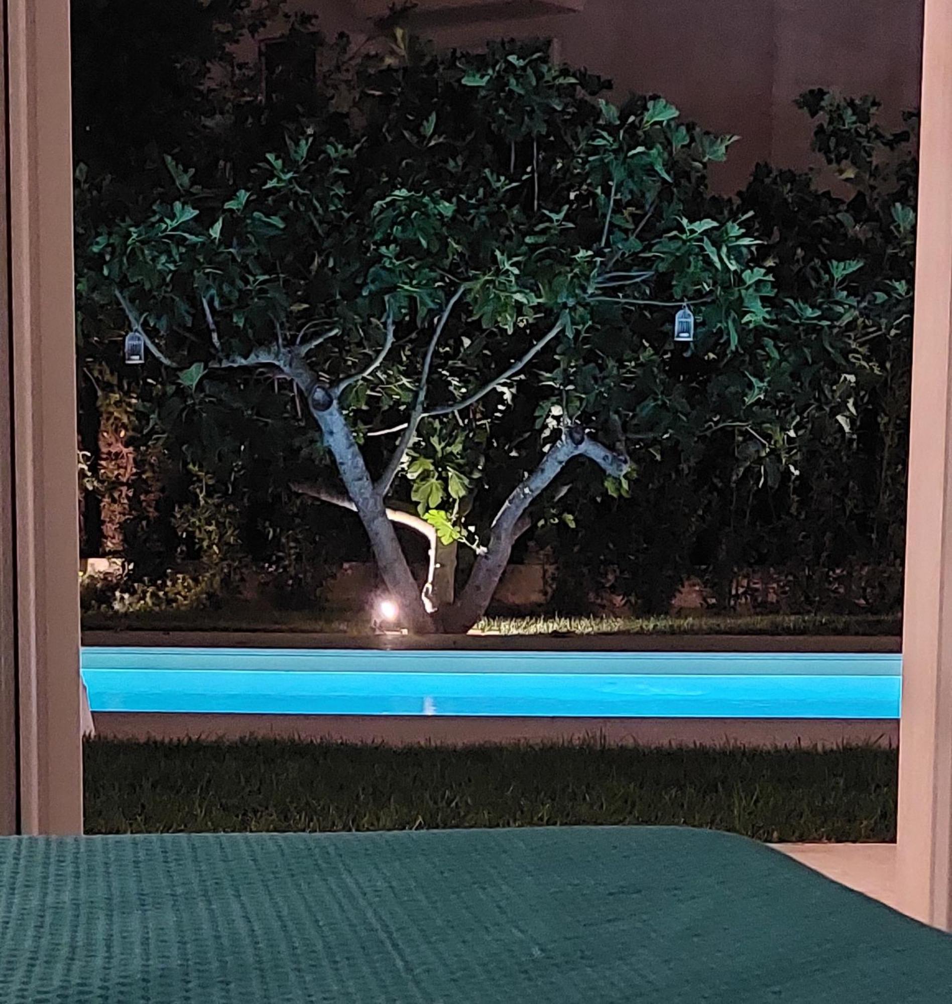 Dimora Gemella Hotel Castellana Grotte Ngoại thất bức ảnh